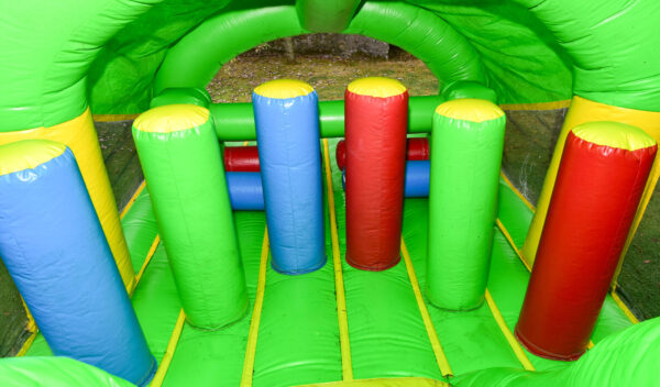 Crocodile  Obstacle Course - Image 2