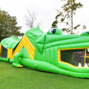 Crocodile  Obstacle Course