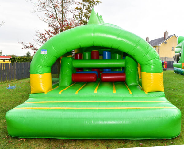 Crocodile  Obstacle Course - Image 7