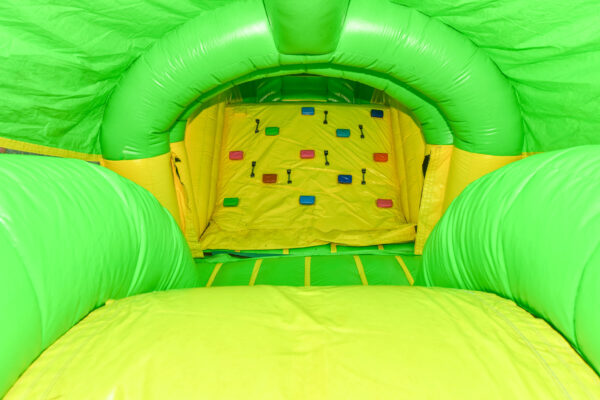 Crocodile  Obstacle Course - Image 5