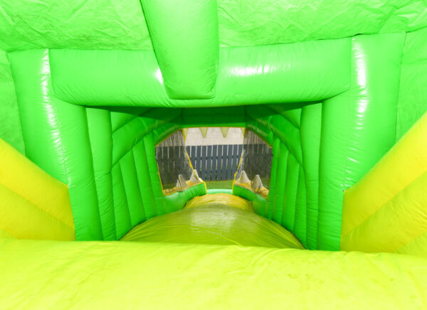 Crocodile  Obstacle Course - Image 4