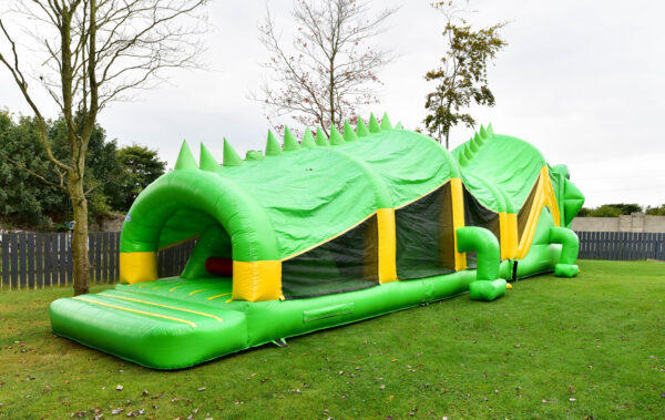 Crocodile  Obstacle Course - Image 9