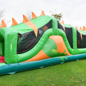 Lizards  Obstacle Course