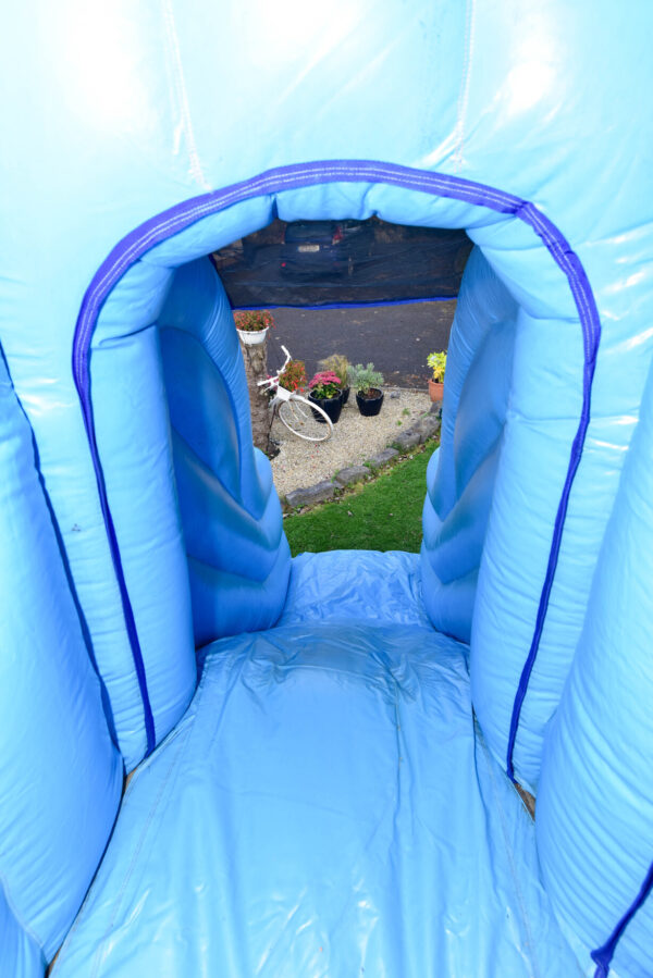 Thomas the Tank Obstacle Course - Image 6